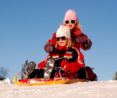 sweden children girls sled 104689